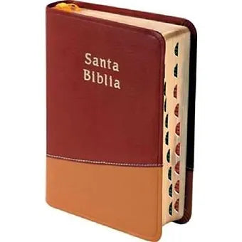 Biblia Compacta RVR 1960, Piel Rojo / Crema Con Índice