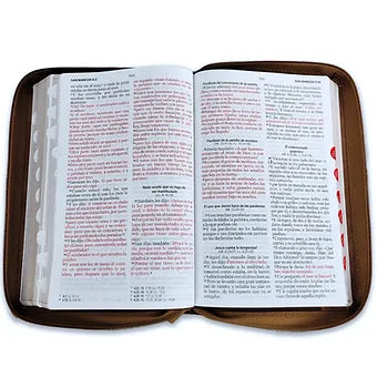 Biblia Letra Grande Tamano Manual 12 Puntos, Ziper, RVR60 | Imitacion Piel Cafe