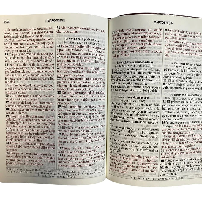 Biblia Letra Grande Tamano Manual RV1960, Imitacion Piel Vino Con Indice