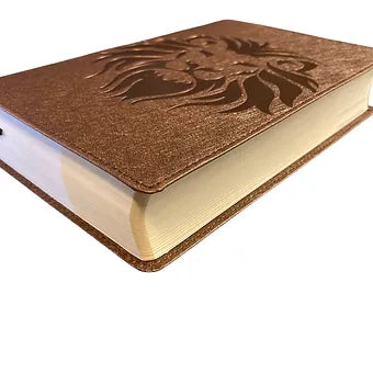 Biblia visual de estudio para niños: NBLA Explora la Biblia