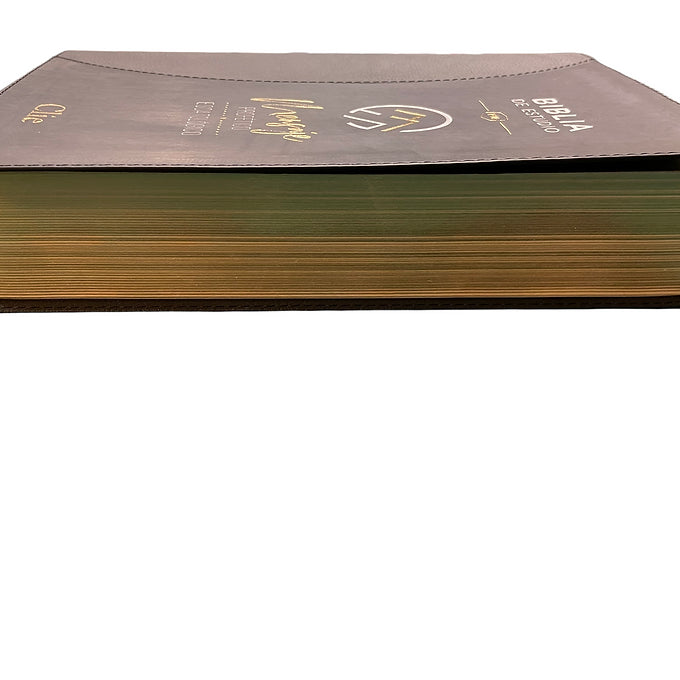 Biblia de estudio RVR Mensaje Profético y Escatológico, Imitación Piel Negro