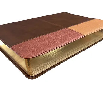 Biblia de Estudio Arcoiris 1960, | Simil Piel Cocoa-Terracota