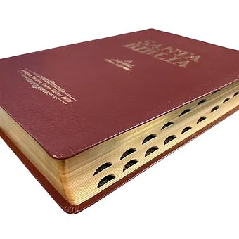 Biblia Letra Gigante RVR 1909, Imitacion Piel Vino Con Indice