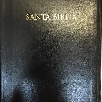 Biblia Regalos y Premios RVR 1960, Imitación Piel Negro