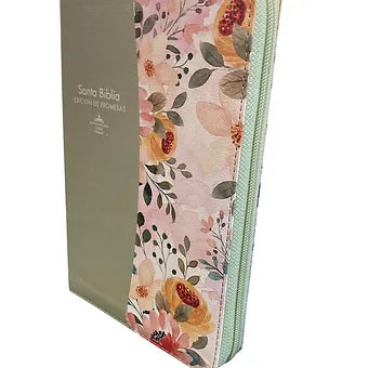 Biblia de Promesas RVR60, Tamaño Manual, Letra Grande, Piel Verde Olivo Con Indi