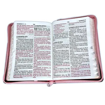 Biblia Letra Gigante 14 Pts Tamano Manual RVR 1960, Piel Rosa / Cafe con indice y Cierre