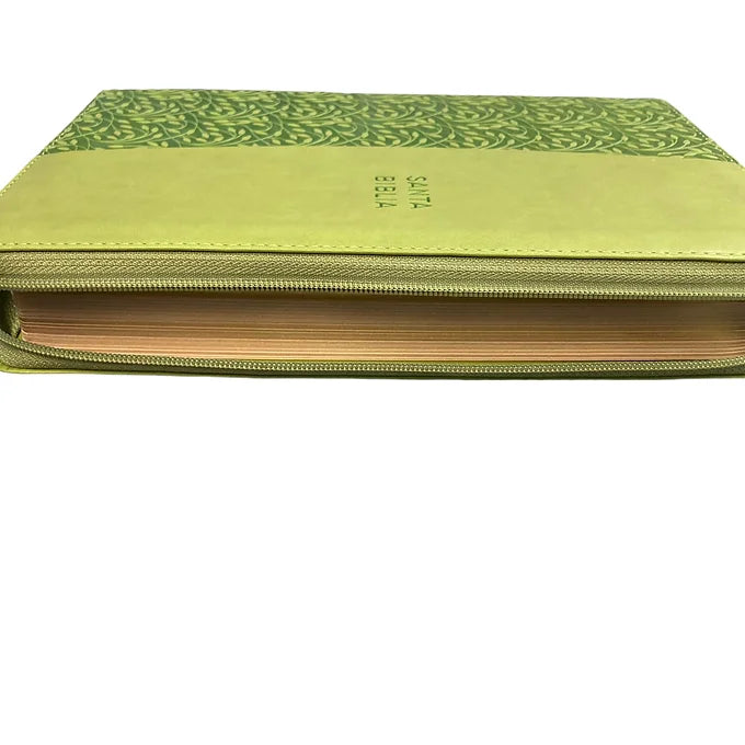 Biblia RVR60 Letra Grande  12 Puntos , Simil Piel Verde