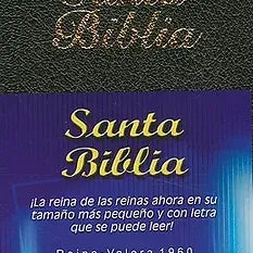 Biblia Minibolsillo |   Imitacion piel Negro