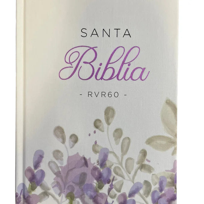 Biblia Tamano Manual Letra Grande RVR60, 12 Pts, Tapa Dura