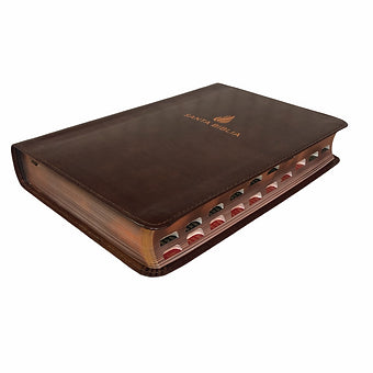 Biblia Letra Grande Tamaño Manual RVR 1960, Índice , Símil Piel Café