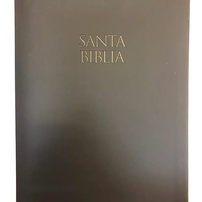 Biblia letra grande Piel italiana negro RVR 1960