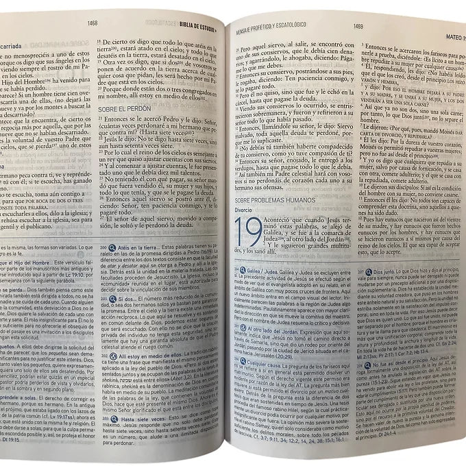 Biblia de estudio RVR Mensaje Profético y Escatológico, Imitación Piel Negro