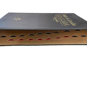 Biblia de estudio explicada RVR 1960, Piel Especial Negro Con Indice