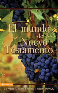 Mundo del Nuevo Testamento