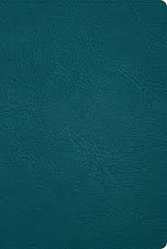 Biblia Reina Valera 1960, Deluxe, Piel Genuina Turquesa