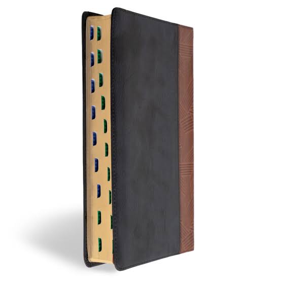 Biblia de Estudio Arcoiris, RVR 1960  Simil Piel Tostado-Negro Con Indice