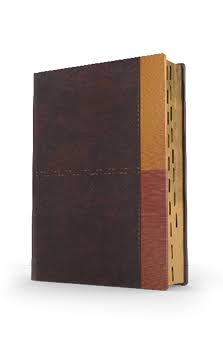 Biblia de Estudio Arco Iris RVR 1960, Simil Piel Cocoa-Terracota con Indice