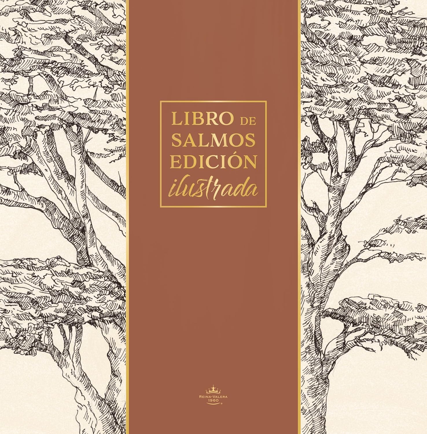 Libro de Salmos Edicion Ilustrada RV1960