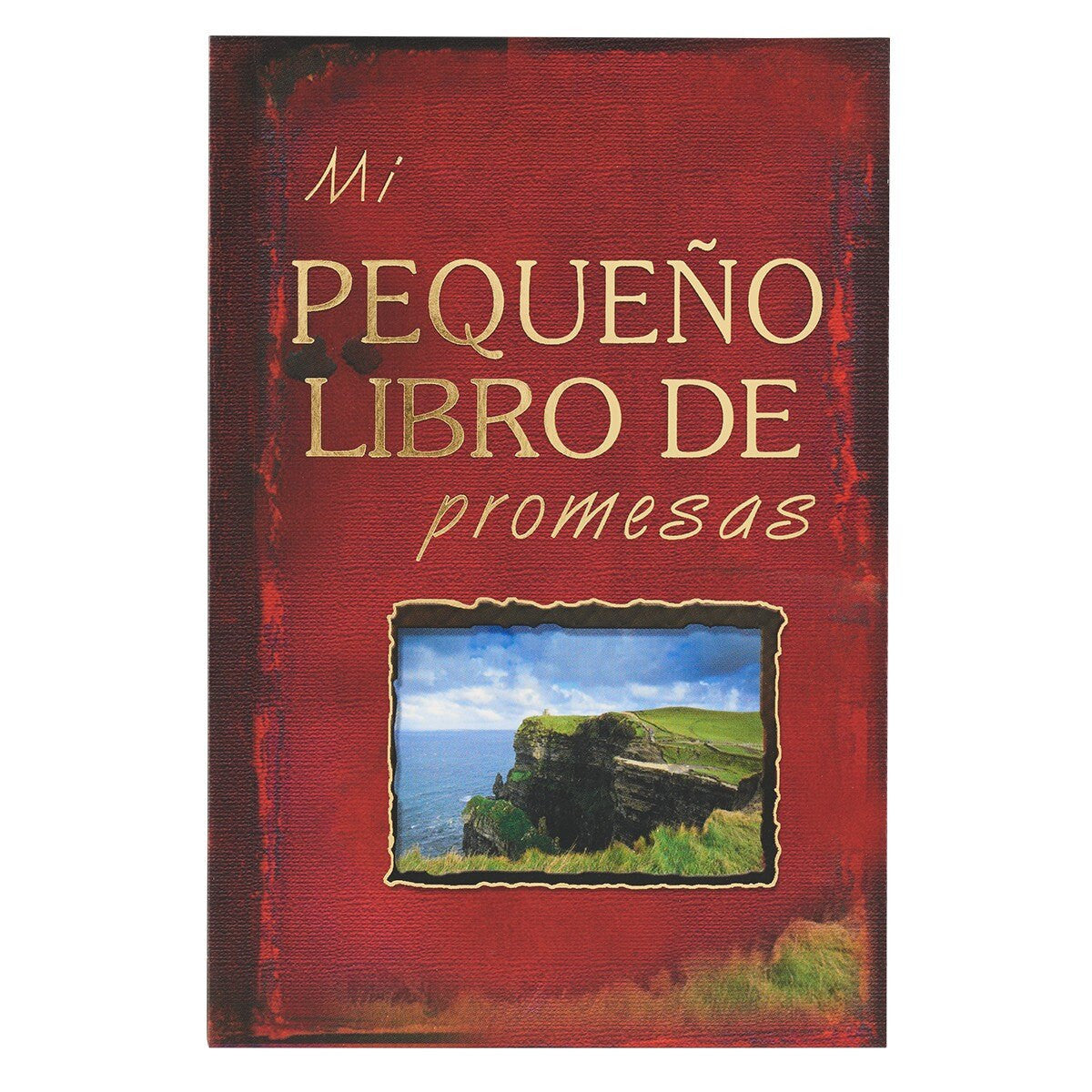 Mi pequeño libro de promesas