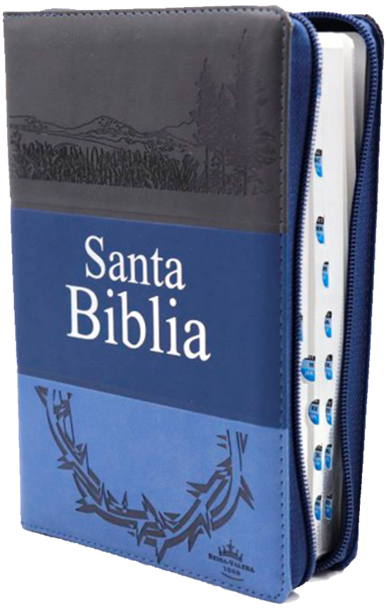 Biblia Letra Grande Tamaño Manual RVR 1960, Imitación Piel Tres Tonos