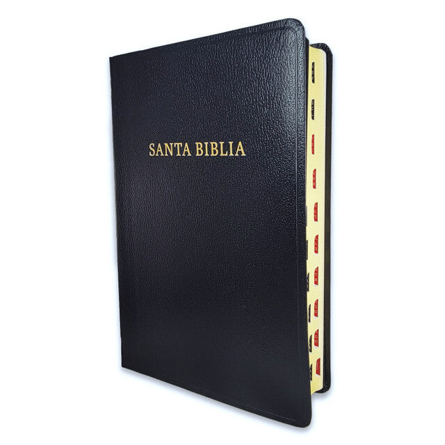Biblia Letra Gigante, RV1960, Imitacion Piel Negro con Indice